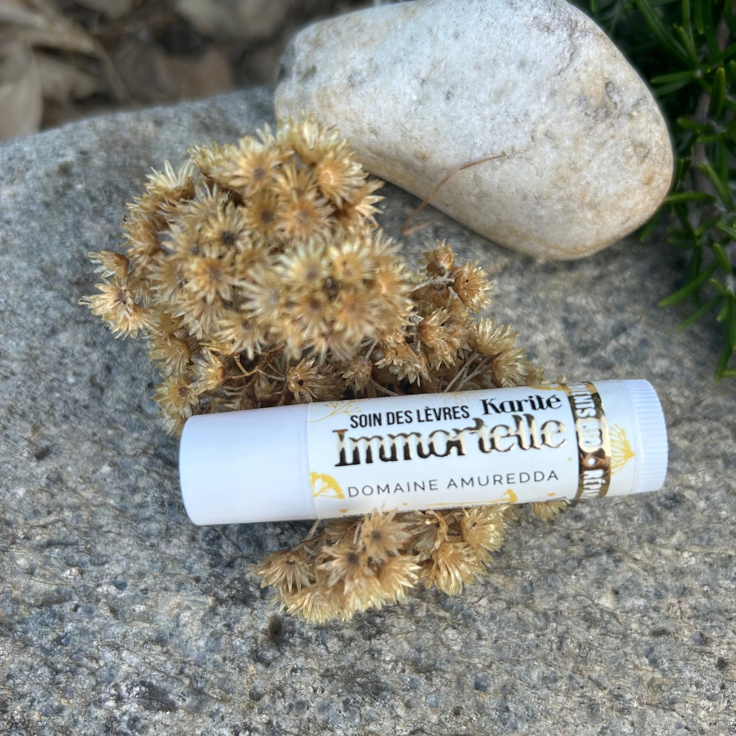 Baume à lèvres Bio à l’Immortelle et Beurre de Karité – Réparateur, Nourrissant et Protecteur – Fabrication Artisanale Corse Les Trésors De Ghjulia