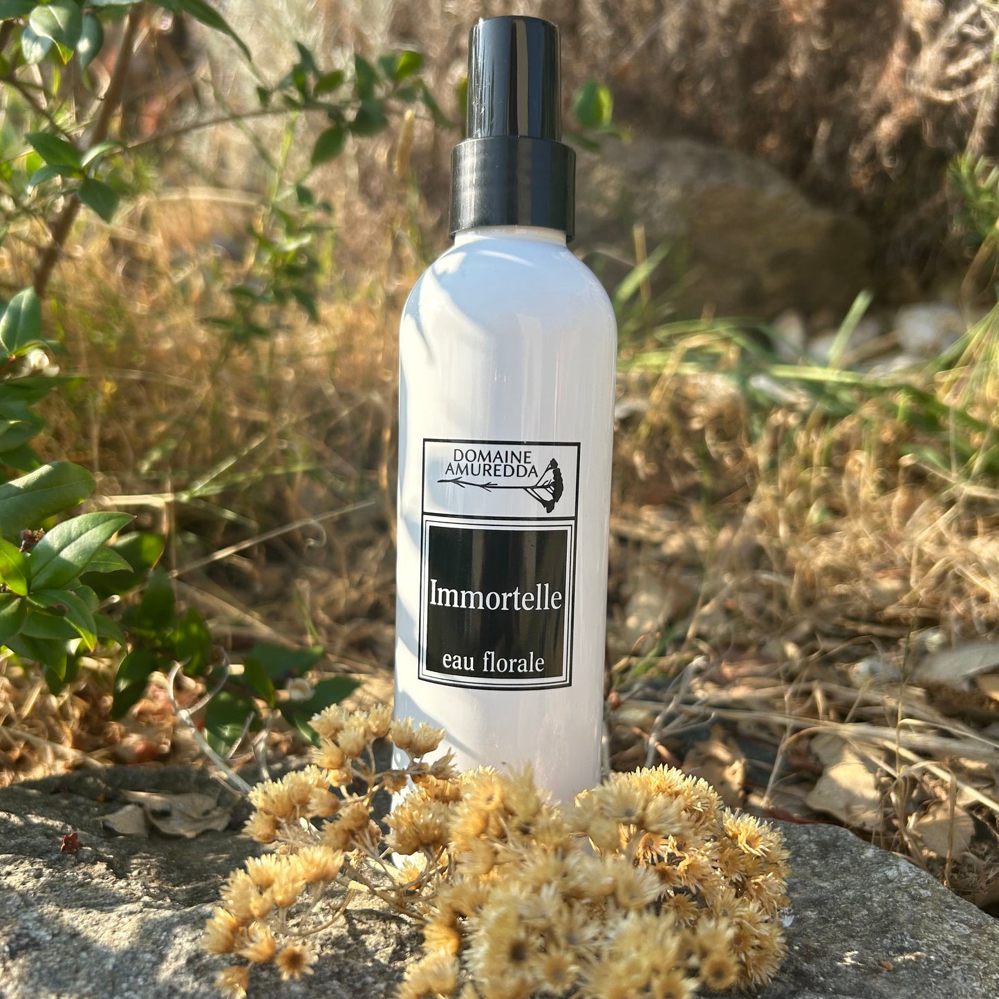 Eau Florale Bio d’Immortelle Corse - Apaisante, Régénérante & Tonique Circulatoire Les Trésors De Ghjulia
