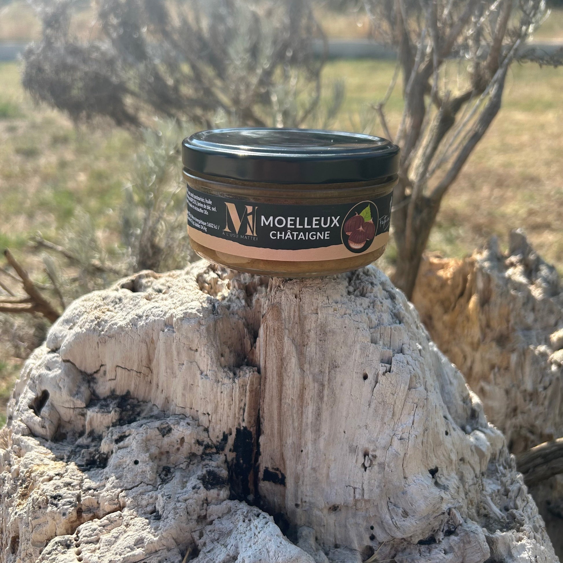 Moelleux à la Châtaigne – Dessert Corse Gourmand et Authentique Les Trésors De Ghjulia