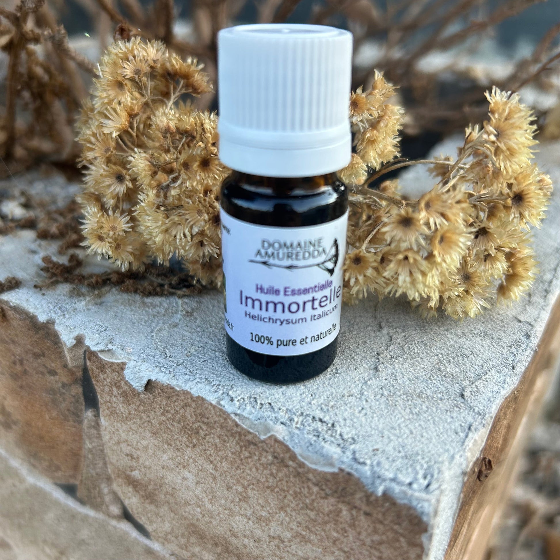 Huile Essentielle Bio d’Immortelle Corse – Anti-hématome puissant & Régénérante Les Trésors De Ghjulia