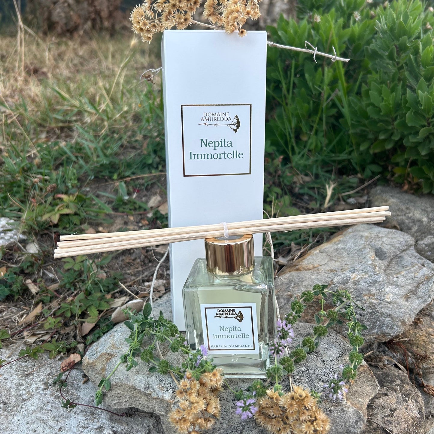 Parfum d’Ambiance Nepita Immortelle – Diffuseur Naturel aux Huiles Essentielles de Corse Les Trésors De Ghjulia