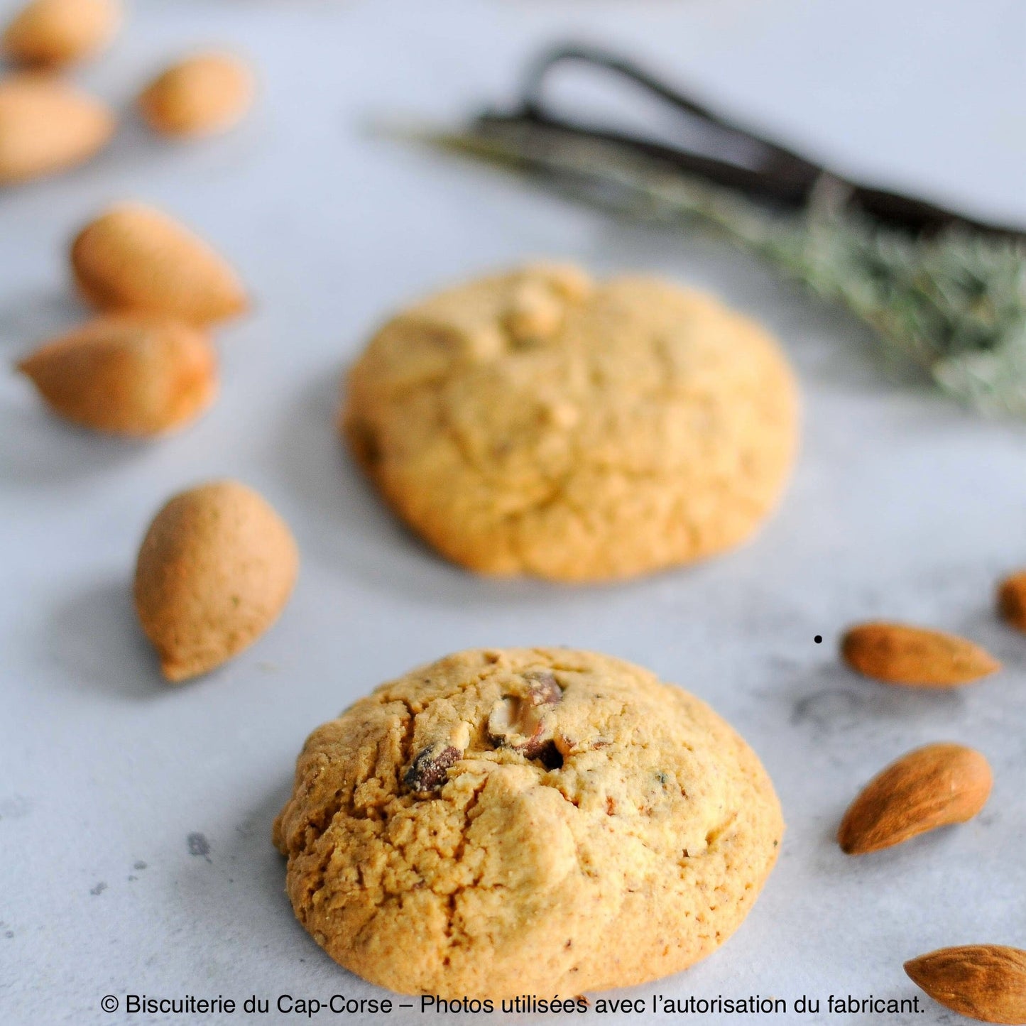 Biscuits Bio Sans Gluten Vanille & Immortelle du Cap Corse – Fabrication artisanale Les Trésors De Ghjulia
